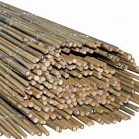 ΚΑΛΑΜΩΤΗ BAMBOO