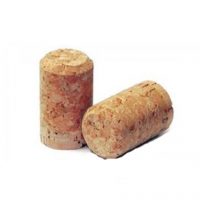 Φελλός 1 έτους